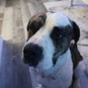 Meet your Posher, Mitchell